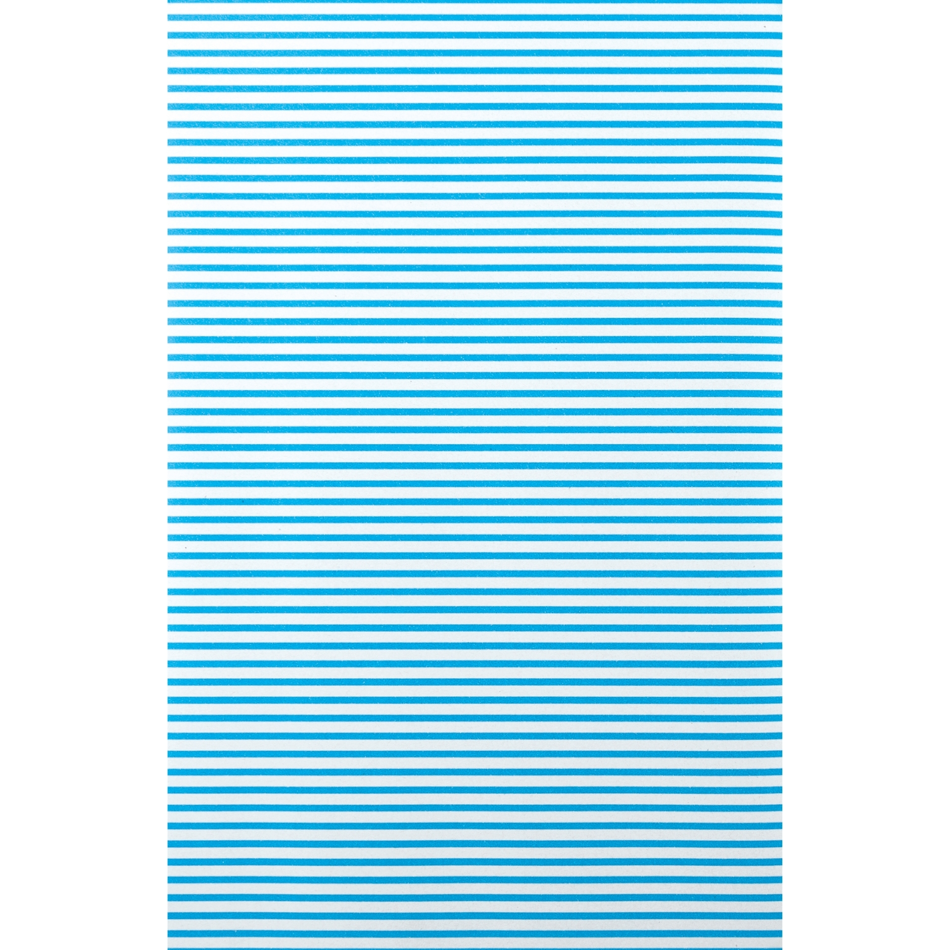 81175_1